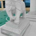 晋城 白麻花岗岩动物异形石雕-大象