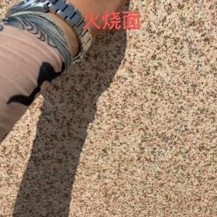 晋城黄金麻火烧面